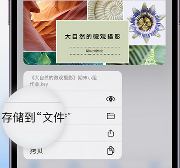 小店apple维修中心分享iPhone文件应用中存储和找到下载文件