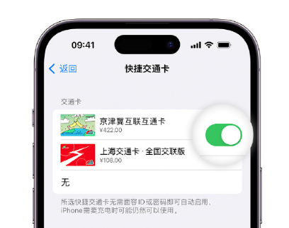 小店apple维修点分享iPhone上更换Apple Pay快捷交通卡手绘卡面 