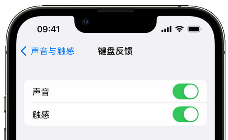 小店苹果手机维修分享iPhone 14触感键盘使用方法 