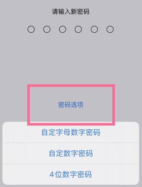 小店苹果14维修分享iPhone 14plus设置密码的方法 