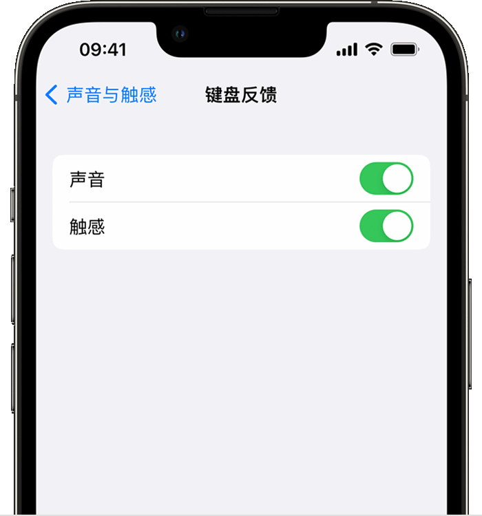 小店苹果14维修分享iPhone 14 系列机型如何开启键盘声音或触感反馈 