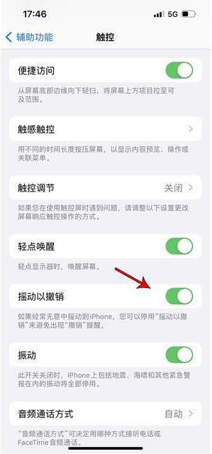 小店苹果手机维修分享iPhone手机如何设置摇一摇删除文字 