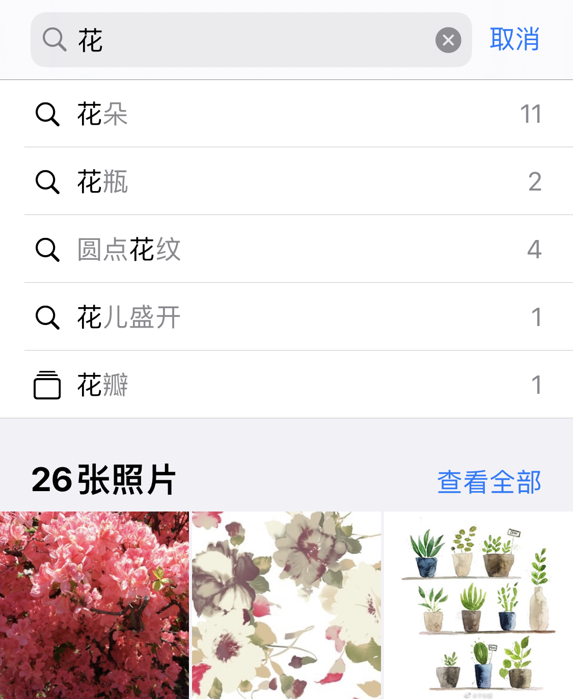 小店苹果手机维修分享iPhone 小技巧 